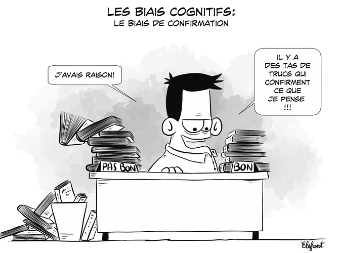 les-biais-cognitifs-biais-de-confirmation-1-1024x768