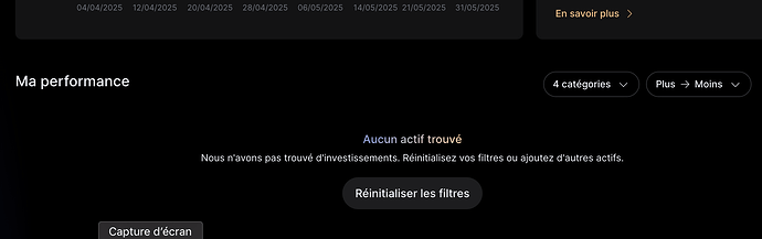 bug vue synthese