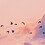 NatFi